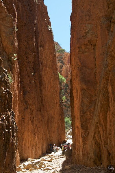 AustraliaAdelaide 10  093